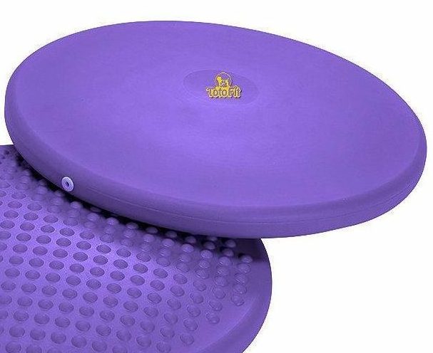 K-9 KORE DISKit – TotoFit